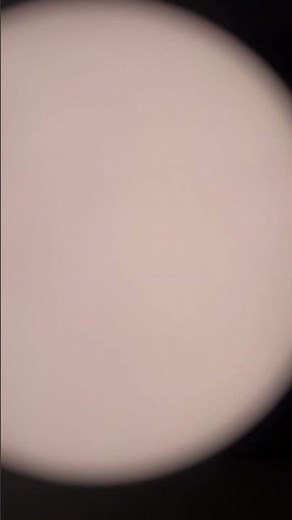 Think fast chucklenuts