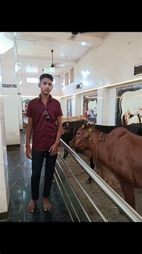 Bewafa Hai Tu 🥺 l Heart Touching l sad song Lyrics l #sad #songlyrics #music