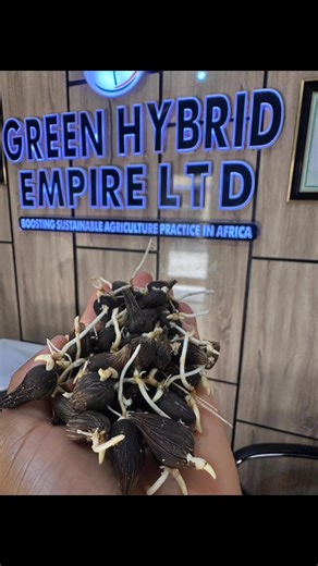 1.4K views · 17 reactions | Are You Using the Wrong seeds? Some...