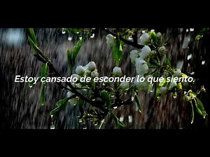 Spring rain (Lluvia de primavera) - Oscar Dunbar (Sub español) by NTUnalattya. OST One Spring Night.