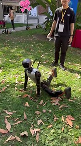 Funny 😂 but don't try at home 😂😂 #robots #virals #Robotics 😀 | Reviews