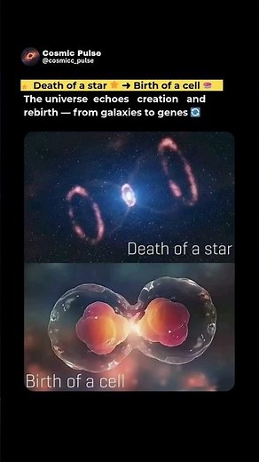 ✨ From Stars to Cells | The Universe’s Cycle of Creation 🌌💫 #ScienceShorts #Astronomy #Universe