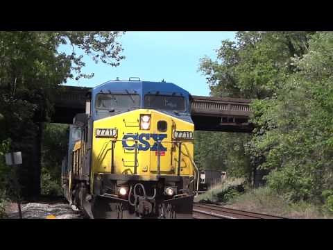 Lots Of Trains In St Denis MARC Station, Maryland