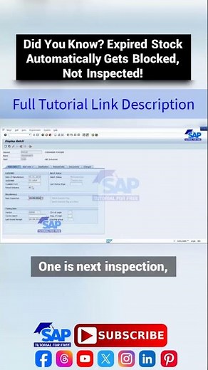 Expired Stock Automatically Gets Blocked Not Inspected | SAP QM Batch Management | Free SAP Tutorial