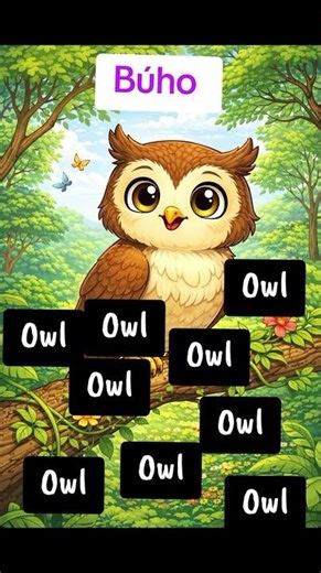 Owl = Búho en #ingles2026