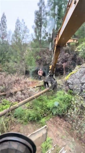 Revolutionizing Wood Clamping: Can We Still Do It with This Tech