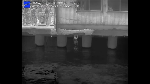 SFPD's Drone Program Reduces Crime with Skydio X10 | Skydio posted on the topic | LinkedIn