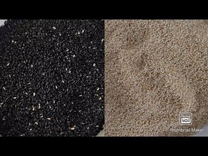 Roasted Sesame Seeds