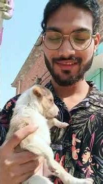 Stop Removing Dogs. Start Taking Responsibility.