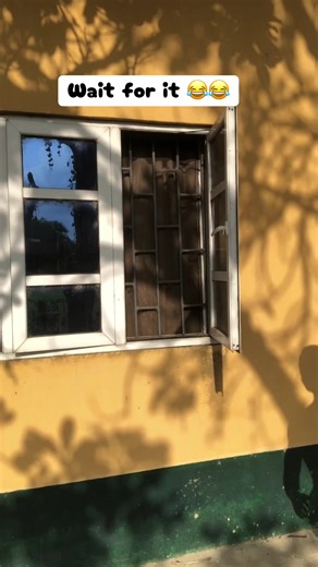 Hilarious Action Gone Wrong Moments