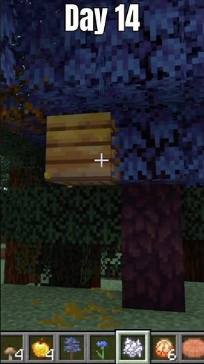 How To Find Saccharine Trees In Cobblemon 1.7! 100 Days of Cobblemon 1.7 Tips (Day 14) #cobblemon