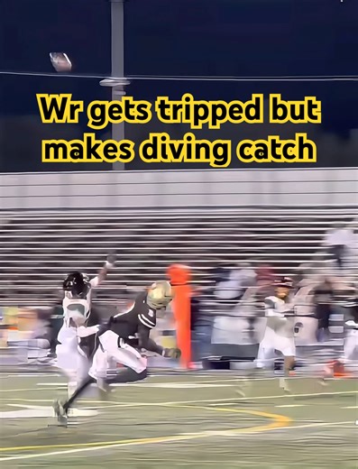 WR Gets Tripped by DB — Still Makes INSANE Diving Catch