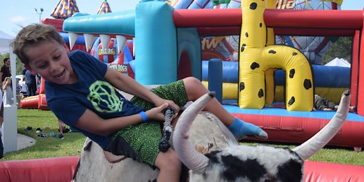 USA Mechanical Bull Rental | Sky High Party Rentals