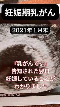 妊娠期乳がん【ステージ４腹膜播種】#ステージ4 #乳がん #腹膜播種 #がんサバイバー#腹膜播種寛解 #闘病記録