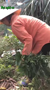 1.8M views · 25K reactions | Quà sớm cho vk 20-10❤️❤️❤️ | Đại Nghệ AN | Facebook