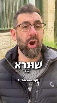 Why Cats Are Completely Missing from the Hebrew Bible