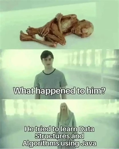 Zain-Ul-Arfeen | Developer & Designer on Instagram: "What happens when he tries to learn Data Structures & Algorithms using Java 😭 Started with confidence… Ended up fighting syntax, logic, edge cases, and his own sanity 💀☕ DSA isn’t hard. Java just makes sure you feel everything 😎🔥 But once it clicks? Different level mindset unlocked 🧠📈 ⸻ Follow @sarcastic.developer 💼 Hire me as your designer & developer! Open for work — DM me for websites, bug fixes, backend help, Java projects, APIs, or