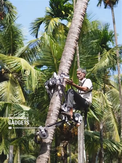 Coconut Tree Climbing Bike: Safe Harvesting Innovation