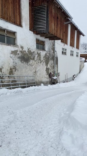 #newhollandarmy #newholland #schnee #leistung #schneeschieben #schneeschieben