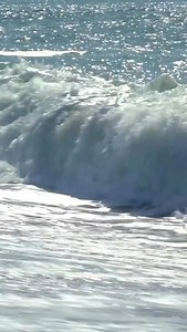 We’re getting CLOSE to #MustangWeek Myrtle Beach! 🏝️ Who’s planning on coming out and enjoying the fun 🙌🏻 #ford #mustang #fordmustang #myrtlebeach | Mustang Week