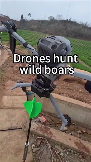 Boar hunt with a drone in China 🐗☠️🐗☠️🐗 www.texaswildhogcontrol.com | Texas Wild Hog Control
