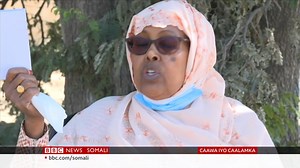 Geedaha oo loo jaro dhuxul ayaa dhibaato xaalufin ah ku haysa Jamhuuriyadda iskeed ugu dhawaaqday madaxbanaanida ee Somaliland. | BBC News Somali