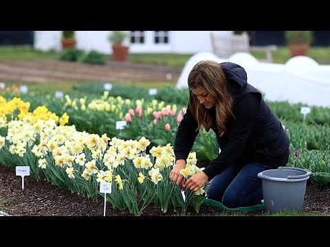 Spring Blooms in the Cut Flower Garden + Free Flower Bouquet Delivery! 💐✂️🌷 // Garden Answer