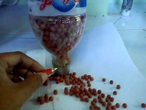 Home Made Automatic Fish Feeder