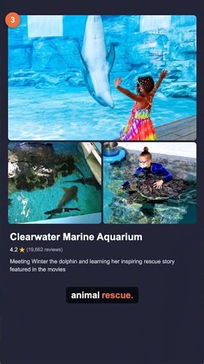 Top 5 Things To Do With Kids in Clearwater FL | Family Travel