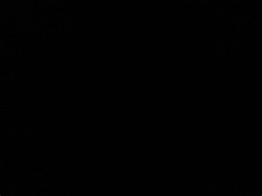 The Emotional Journey of the Bella Twins