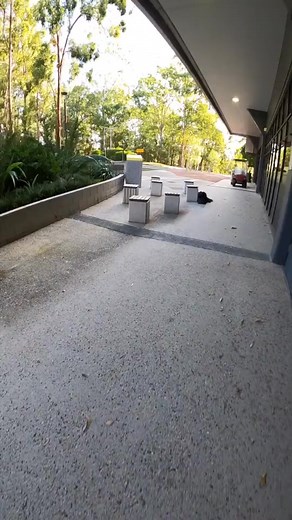 Why am I running so fast ! #jump #loungewear #voiceover #progamer #keepingbusy #lifeathomequiz #fyp #coronavirus #parkour #2020 #escape #zoom #fast | Nora Bruckner | Facebook