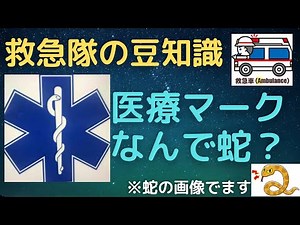 【救急隊豆知識】医療系マークにはナゼ「蛇」マークが多いのか？