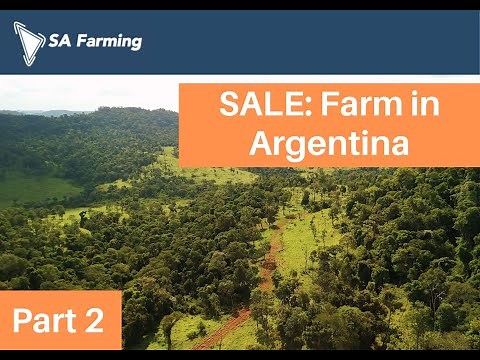 For SALE: Farm in Misiones, Argentina (Part 2)