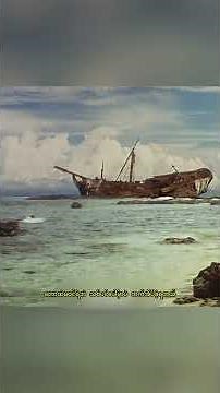 Lone Survivor: 3 Days Lost at Sea