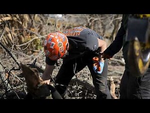 All Natural Tree Experts in Action | 120-Ton Crane Oak Tree Removal Roanoke & Christiansburg VA
