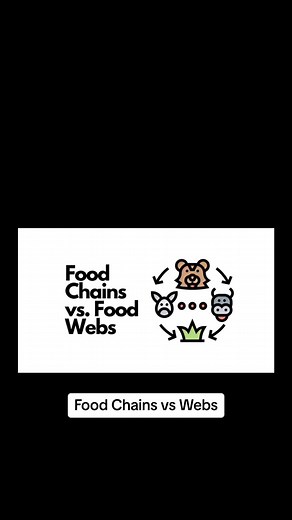 Foods Chains vs Food Webs #foodchain #foodweb #ecosystem #biology #ecology #drbscience