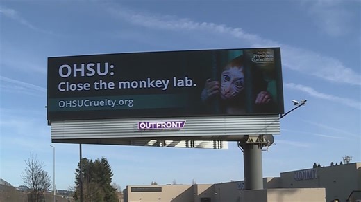OHSU will explore turning its primate research center into a sanctuary, board says