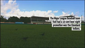 What is the rarest Budweiser Stein?