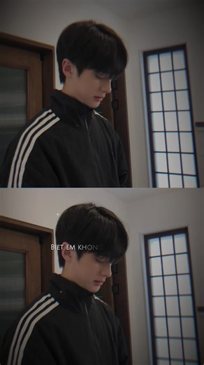 阳光与爱情的交织