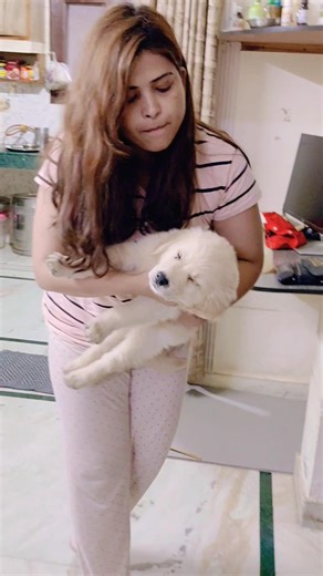 mera pyara Sa tillu #shortvideo #trending #funny #song #shorts #comedy #short #viral #viralvideo