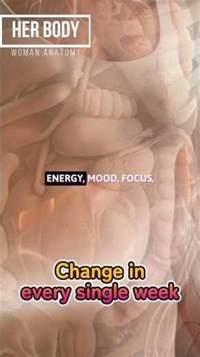Woman’s Body: The Weekly Transformation | 3D Medical Animation #femalebody #hormones #periodfeatures