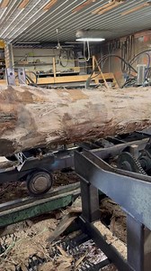 276K views · 3.2K reactions | Just some beautiful Northern Red Oak! Please click the link in the comments to see the full video on YouTube! #greenridgeforestry.com #greenridgeforestproducts #professionaltimbermanagement #sawmill #usemorewood | Green Ridge Forest Products | Facebook