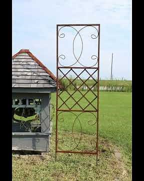 Trellises - Upgrade Your Garden