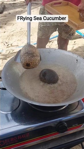 What Happens When You FRY a Sea Cucumber