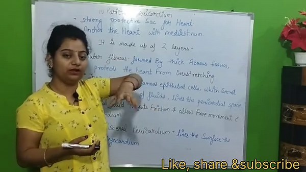 cardiovascular system | anatomy & physiology of heart | layers of heart‪@varshanursingacademy‬