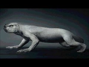 Destiny Lab "NATURAL SELECTION"