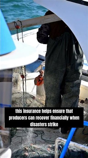 Why Crop Insurance is Essential for Farmers