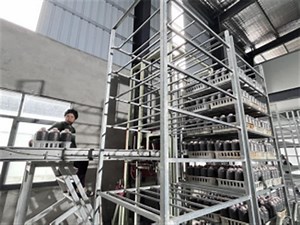 【一路芬芳·福润八闽】福建罗源：菌菇撑起乡村振兴致富伞_新闻中心_中国网