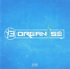 Various - 13 Organisé