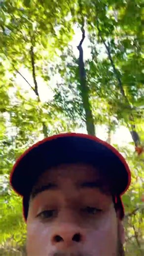 Pa gameland small game hunting